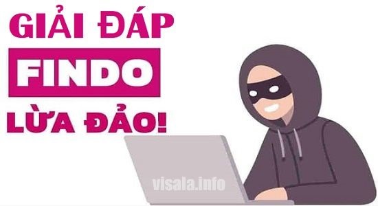 Công ty Findo uy tín