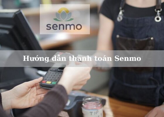 quy trình thanh toán Senmo
