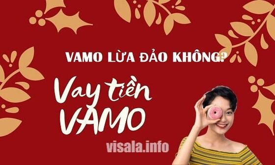 Vamo là công ty quốc tế đang hoạt đông tại Việt Nam