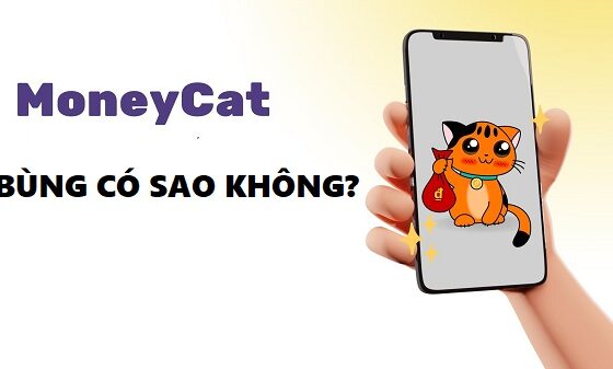 Một số điều chú ý khi bùng Moneycat