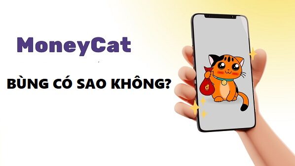 Một số điều chú ý khi bùng Moneycat